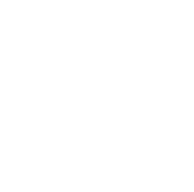 dude box container house